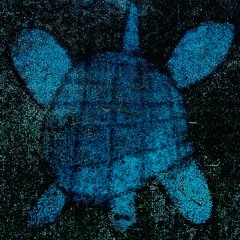 01 Tech House Turtle