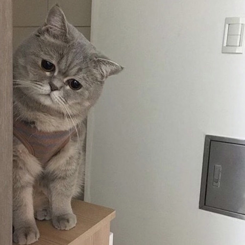 Lời mà anh ấp ủ từ bao lâu 🤫