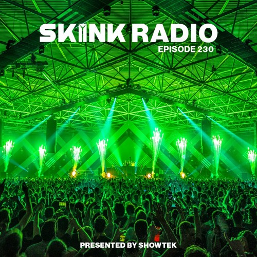 SKINK Radio