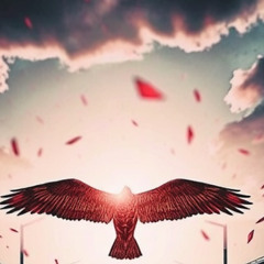 Too Close To The Sun