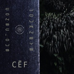 Conscious Journeys #15: CĒF