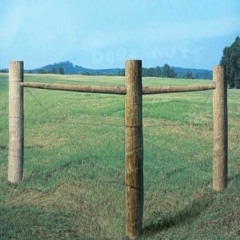 [TEST 1 - Purgatory]