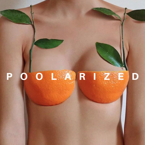 POOLARIZED Vol.28 mixed by MichaelV