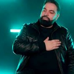 Florin Salam-Un tigru si un leu  2020