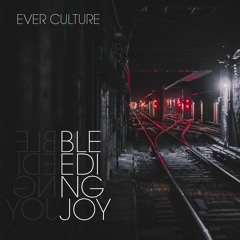 BLEEDING JOY - Two Roads in the Yellow Wood