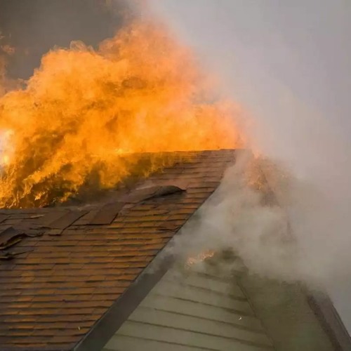 fire to the roof x go fuck yourself