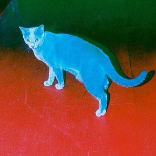 Stream TWWW By Kayls bad Kid Listen Online For Free On SoundCloud Stream TWWW By Kayls bad Kid Listen Online For Free On SoundCloud