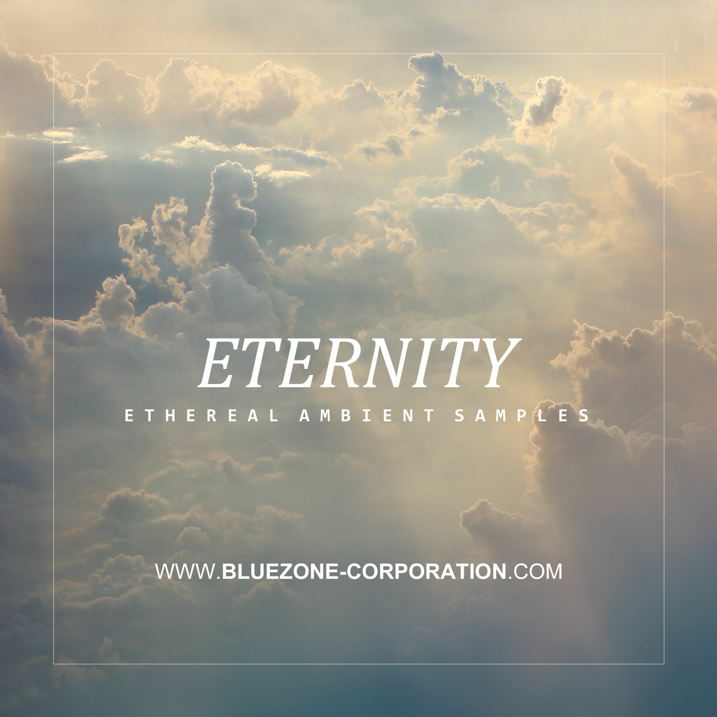 Bluezone Corporation