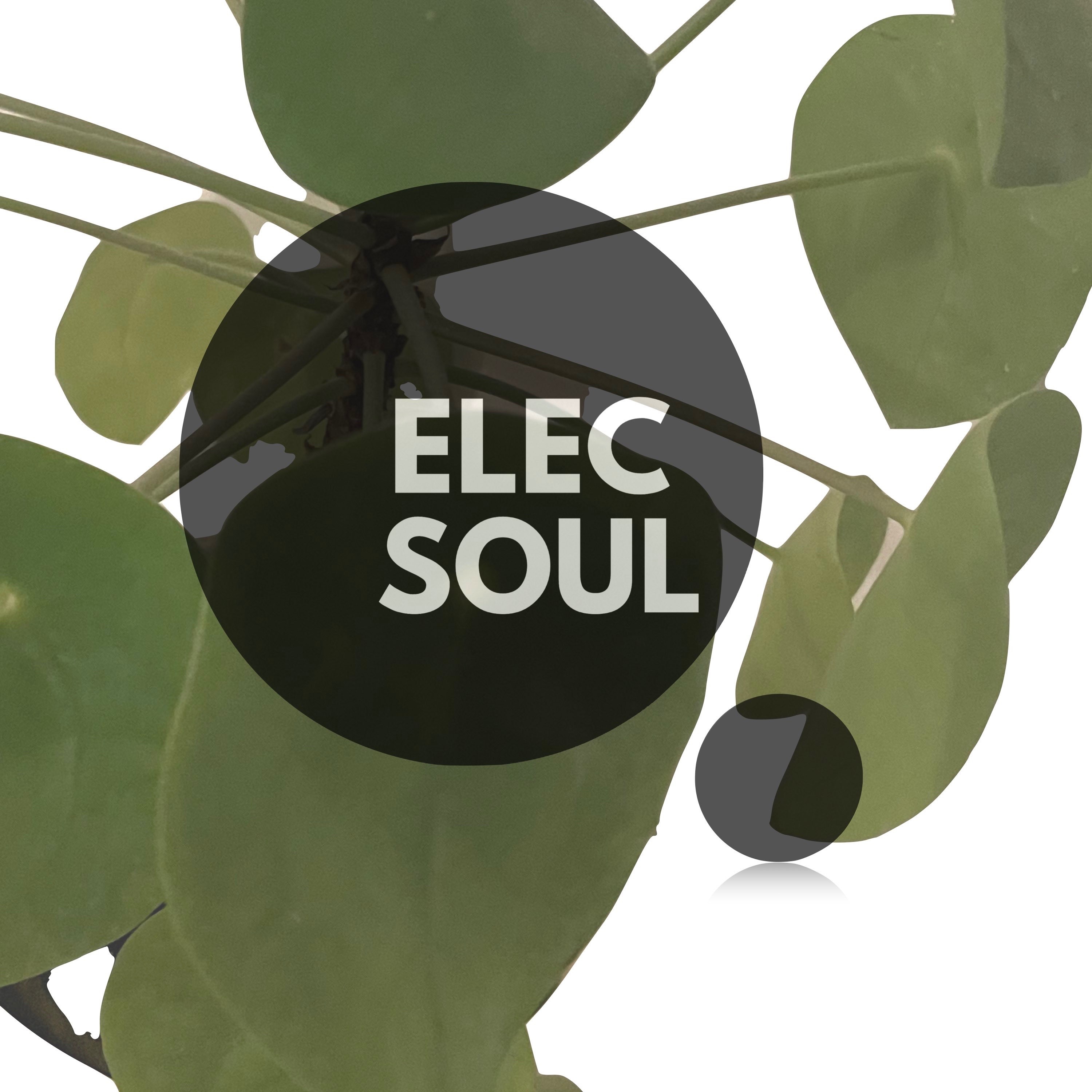 ElecSoul