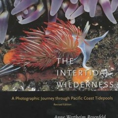 Download pdf The Intertidal Wilderness: A Photographic Journey through Pacific Coast Tidepools, Revi