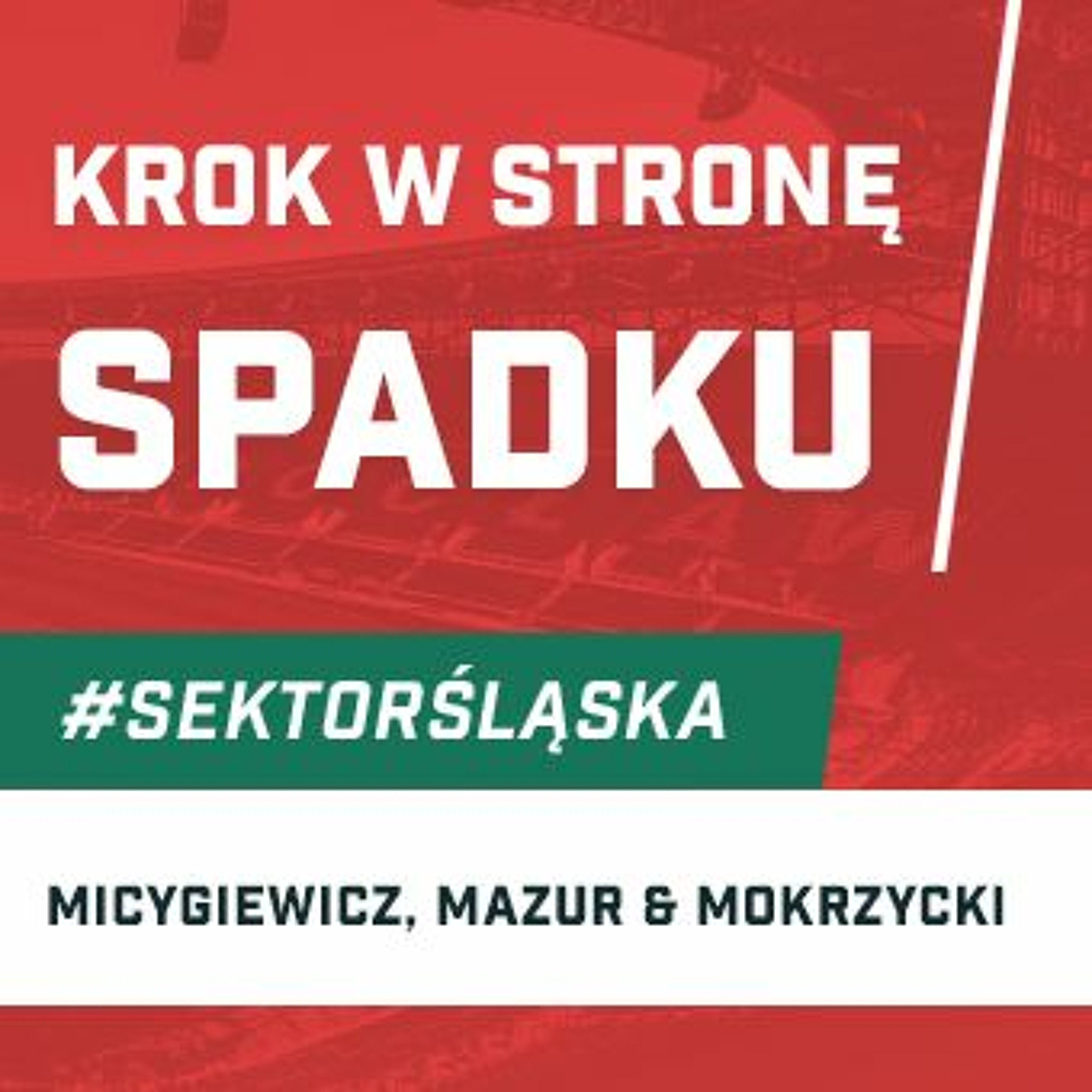 Śląsknet