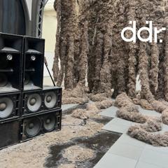 DDR | Being & Timbre | Ep.2. Acoustic Ecology