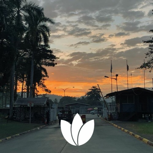 Shensea - Hit N Run [Remix] - Prod.by Mahina