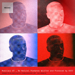 MODULARZ 87 // ASEC