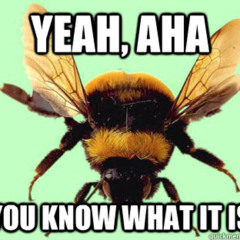 Black and Yellow (Michel Demello Flip)