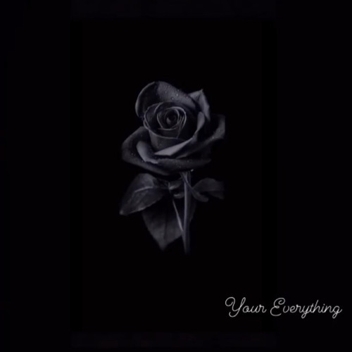 Your Everything Ft. Pwiddit