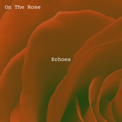Echoes in Silence