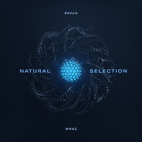 Wraz & PAV4N - Run A Man Down