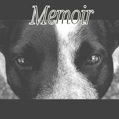 Memoir (Free Download)
