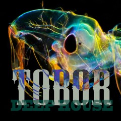 Deep House - ambiant mix By Tobor