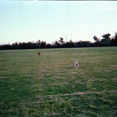 Chips and Ice Cream (bonus track from Leda and the Swan)