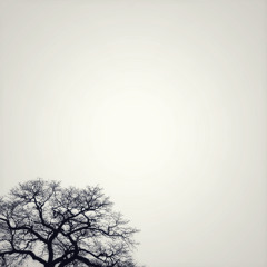 Life is a Song
