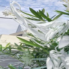 djembe - close to you (vili, tc, djembe)