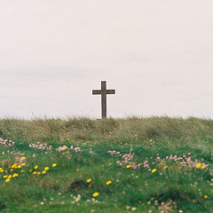 mar mari emanuel - glorified god