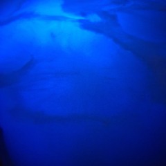 FRAUDULENT_NIGGAS_FT_#KRUCAIL