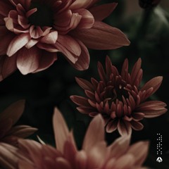 Chris Gerber - Sweeter Than Candy