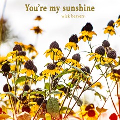 You're my Sunshine (and my grey clouds, too)