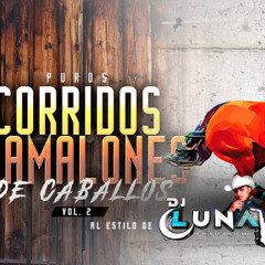 Corridos De Caballos Mix Vol 2 DJ LUNA