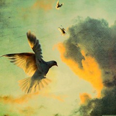 Dovmension - (Original Track)