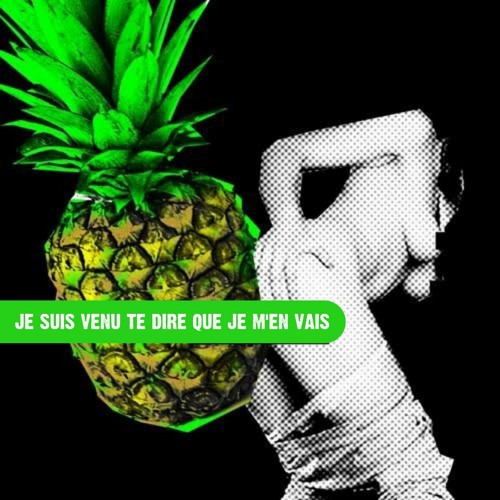 Coeur De Pirate - Je Suis Venu Te Dire Que Je M'en Vais @mrpineappleeyes remix//who are you!!