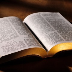 The bible story