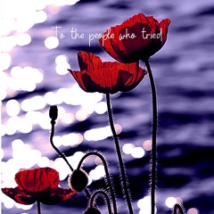Roses (To the people who tried)