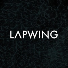 This Is Lapwing