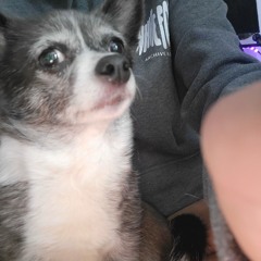 Father's Day Weekend Set