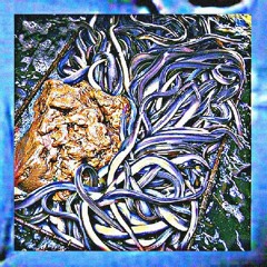 ELIXIR NOMAD X NAGA - EELS