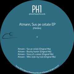 MINIMAL DUB N STUFF