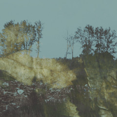wlr191 Tapes and Topographies - Partial Holograms