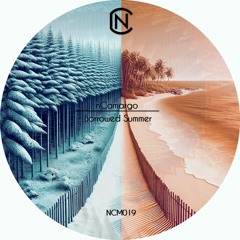 04 - nCamargo - Heat Of The Moment - Clip (Out Now)