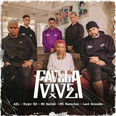 Favela Vive 5