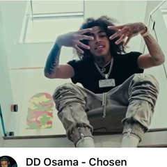 DD Osama Chosen