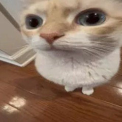 hello my name is apple