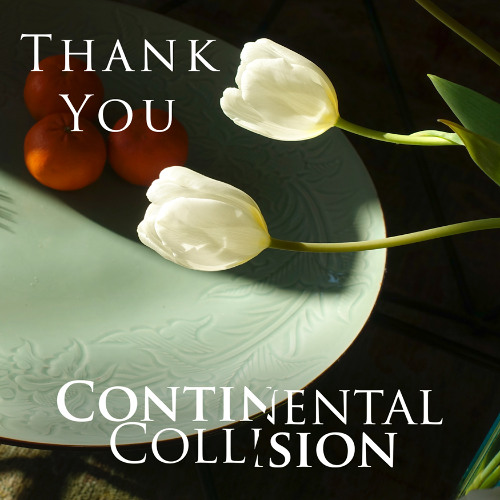 Thank You - Continental Collision (Rodolfo Planes & Mark J Bennett)
