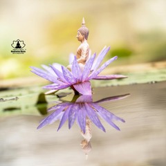 Crystalline Silence of Insight