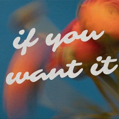 IF YOU WANT IT