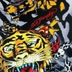 scrappy             easy come easy go