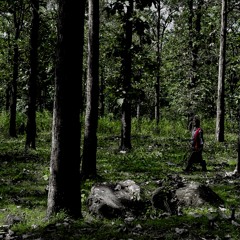 The Öbjektz - Dreamer's Lament